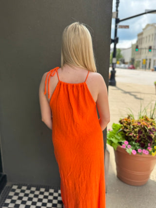 Colletia Knitted Dress