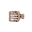 Blonde Tortoise