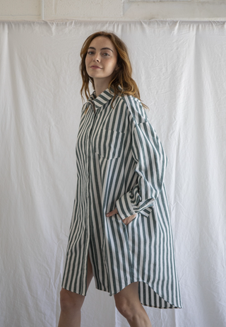 Cam Striped Shirt Dress