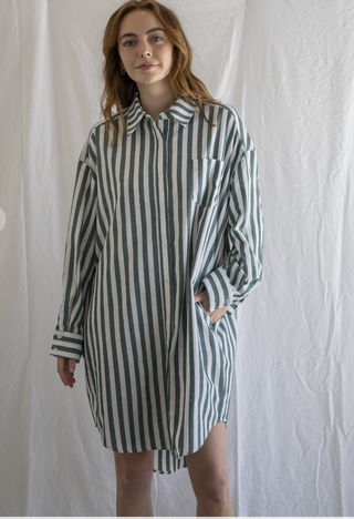 Cam Striped Shirt Dress