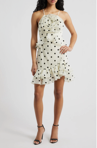 Remy Polka Dot Dress