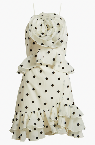 Remy Polka Dot Dress