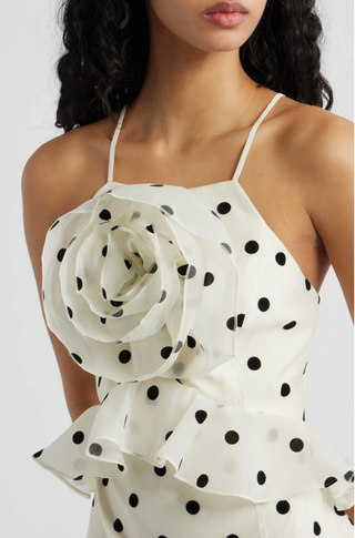 Remy Polka Dot Dress